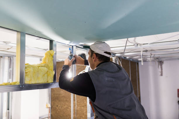 Best Insulation Materials and Products in Lillian, AL