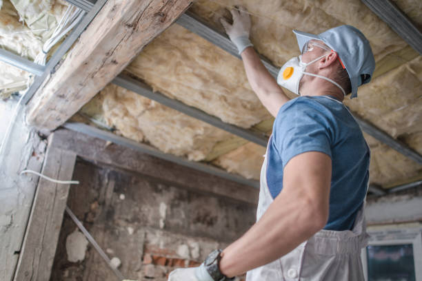 Best Types of Insulation in Lillian, AL